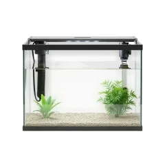 Fish & Aquatic Supplies