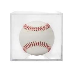 Sports Memorabilia