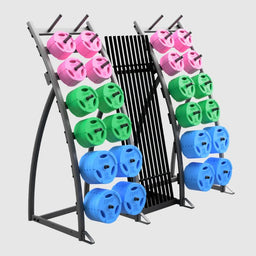 Troy_Lite_Storage_Rack_Side_View_with_colored_weight_plates
