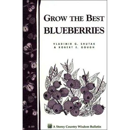 grow-the-best-blueberries