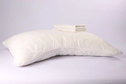 contoured-side-sleeper-pillow-4704148