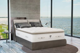 organic-mattress-the-organic-bliss-pillowtop-788964