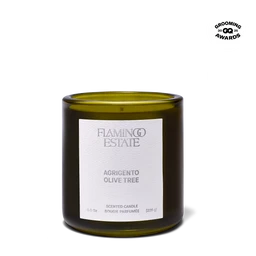 Olive_Tree_Candle_Front_8oz_2bece8c1-24cf-4fee-9413-87a3b1a1b482