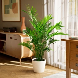 0177945992e2--PB-CP-ECO-CO-10IN1-living