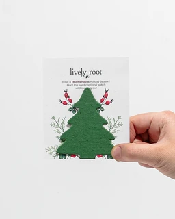 AC_Holiday-Seed-Paper-Cards_01-fotor-20231115183928