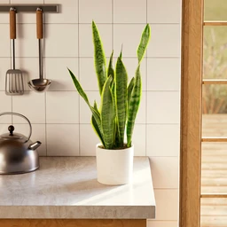 e2b1bc46f2ed--PB-VSL-SWP-WH-6IN1-kitchen