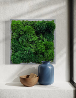 the-sill_Moss-Wall_Gallery_2