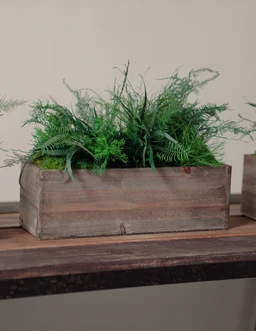 the-sill_artisan-moss_preserved-moss-small-wooden-planter-box-with-preserved-moss-and-ferns_gallery_03