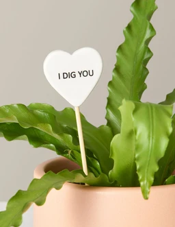 the-sill_ceramic-message-pops_variant_i-dig-you