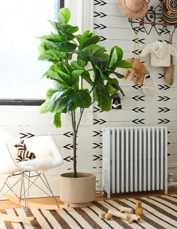 the-sill_faux-fiddle-leaf-fig_gallery_large_all_all_03