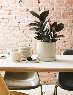 the-sill_hyde-planter_gallery_medium_all_all_01