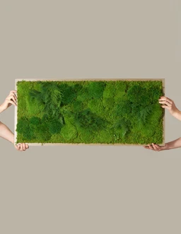 the-sill_living-moss-wall_gallery_all_02_bc980c1e-9c97-4414-b307-17687deb3cbb