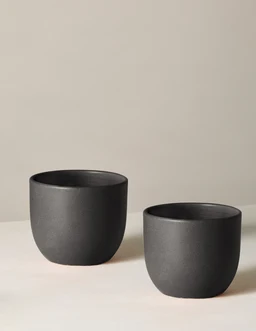 the-sill_small-grant-duo_black