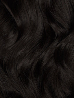 01b_-_black_beauty_-_edited_3189a2c4-c0f1-42f3-919c-94c21523b6d8