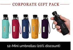 MINI_CORP_PACK_2