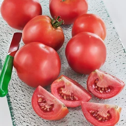 050322_T118630_202051_Bonnie_EarlyGirlTomato_ALT_01