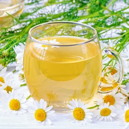 052022_T118630_202010_Bonnie_Chamomile_ALT_01