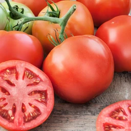 052422_T118630_202049_Bonnie_BigBeefTomato_ALT_01