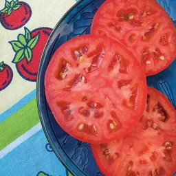052522_T118630_202114_Bonnie_BeefsteakTomato_ALT_01