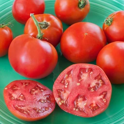 052522_T118630_202116_Bonnie_OriginalTomato_ALT_01