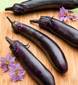ichiban-japanese-eggplant