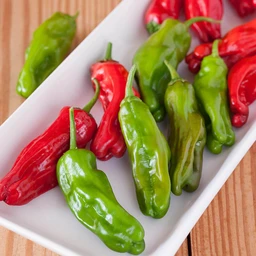 mellow-star-shishito-pepper