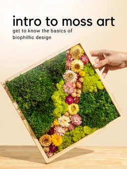 introtomossart_b9c19c87-d211-47fc-b2bd-3db4d9b5c426