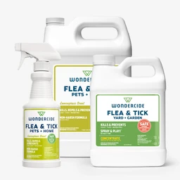 HOME-TREATMENT-L_030a21cd-35fb-4588-8bac-78891bec50da