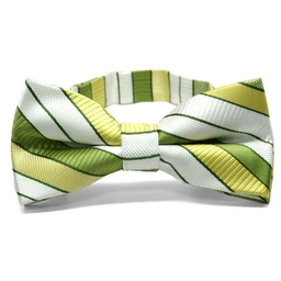 asparagus-green-stripe-bow-tie