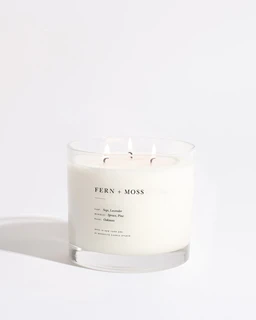 fern-moss-maximalist-candle-brooklyn-candle-studio-918278
