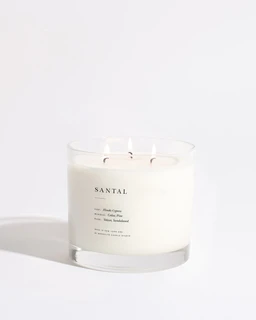 santal-maximalist-candle-brooklyn-candle-studio-139027