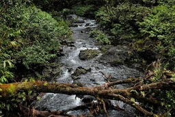 Watersheds_Hero_-_mobile_ff915845-719c-4247-abde-690a5b518731