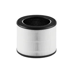 Airmega100Filter