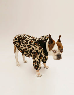 PUP5220_LEO_DEWEY_FRONT_EDIT_1__B