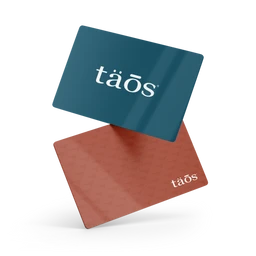 This is an e-gift card depicted as two floating rectangular cards with rounded corners, one blue on top and one coral on the bottom, arranged in a dynamic stack. The design reads a small white word on each card, suggesting a minimal, modern brand mark, with a glossy finish. Intended audience appears unisex, suitable for gifting to anyone. Notable attributes: blue and coral color palette, rounded corners, clean sans-serif typography.