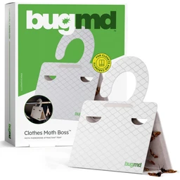 ClothesMothBoss_white_6cf88ac1-579e-4077-a6e9-e8656c928ec0