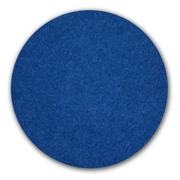 437057_ORECK-ACCESSORIES-PARTS-BLUE-SCRUB-PAD