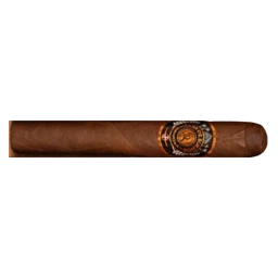 CasaDeSuenosElSonadorRobusto