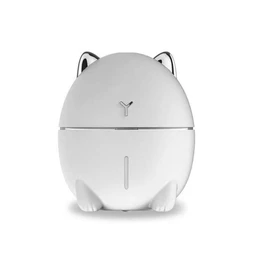 Humidifier