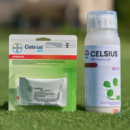 CelsiusSingleand10ozbottle_f8c9009d-0daa-484e-bd5e-180f698f8d7a