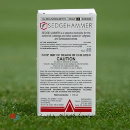 SedgehammeronLawn