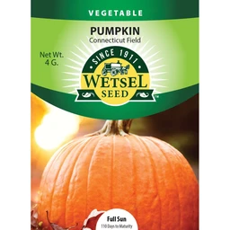 wetsel-seed-connecticut-field-pumpkin-seed-8402210