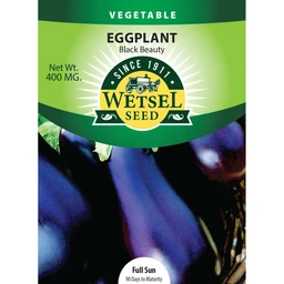 wetsel-seed-eggplant-black-beauty-seed-3519817