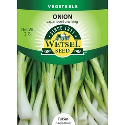 wetsel-seed-japanese-bunching-onion-seed-4657415