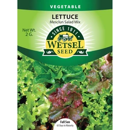 wetsel-seed-mesclun-salad-mix-lettuce-seed-3255811