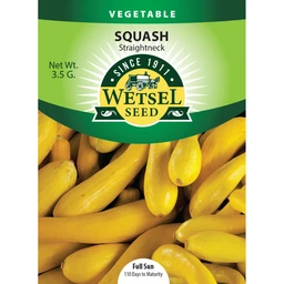 wetsel-seed-squash-early-prolific-straightneck-seed-7552342