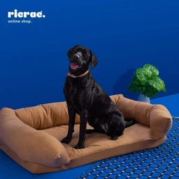 Pet Sofa