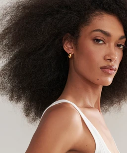 small-hinged-hoops-gold-1