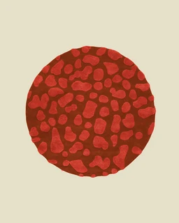 CopyofHP26RUG6_HRNG-COVER