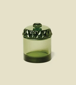 HOUSEPLANT_STASH-JAR_GREEN_NEW-PDP-LAYOUT_1_1